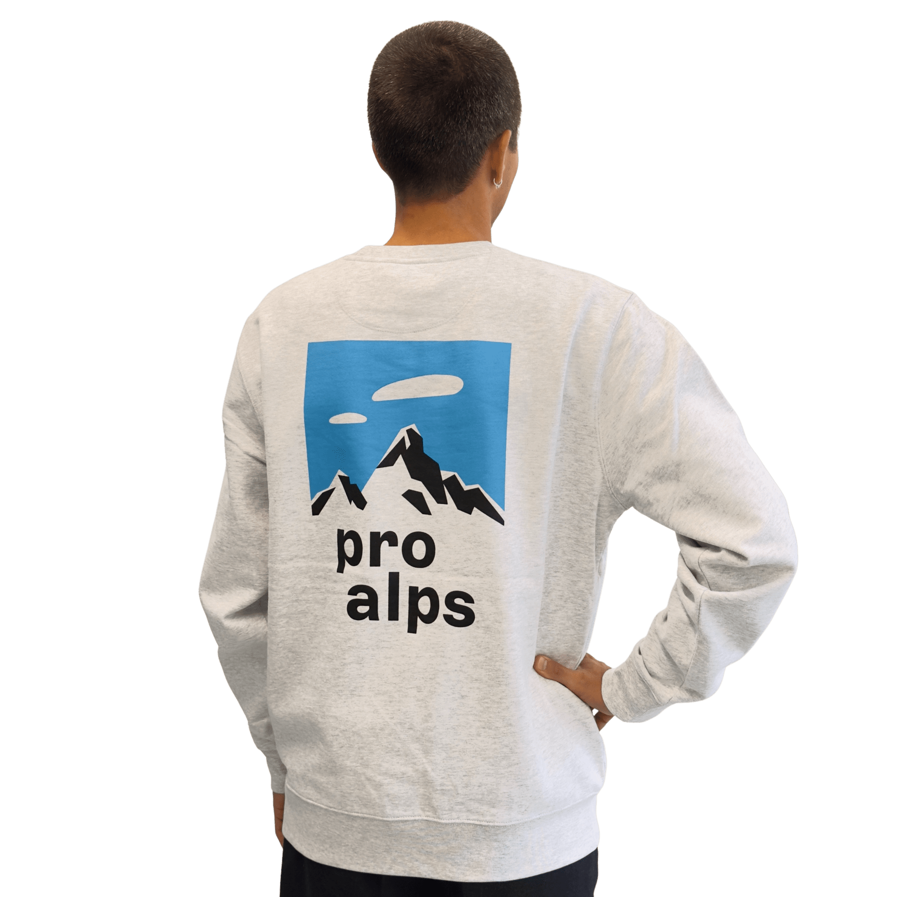 sweatshirt-pulli-proalps-hinten-mann-schnappschuss